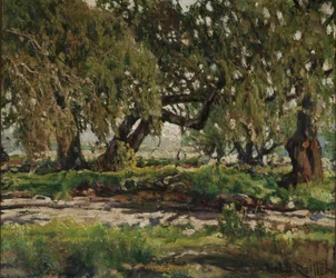 Edge of the Oak Grove, 1935